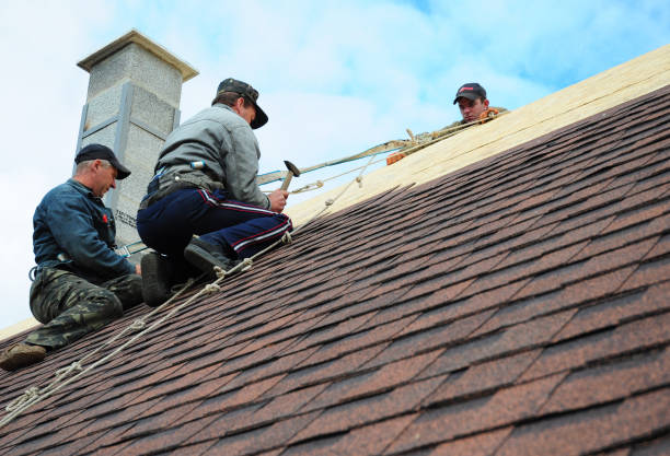 Best Metal Roofing Contractor  in Trafford, PA
